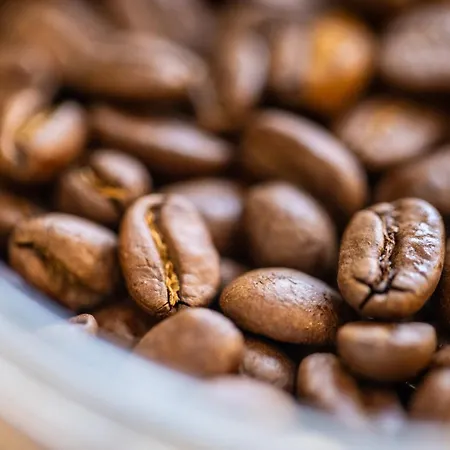 Apartmán Zentral Boxspringbetten Garage Rhein *