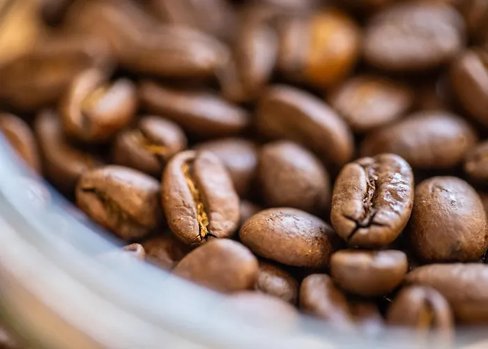 公寓 Zentral Boxspringbetten Garage Rhein *